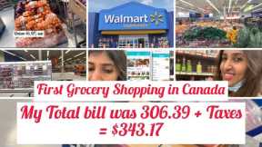 First Grocery Shopping in Canada | Grocery shopping at Walmart | New Immigrants Grocery & Essentials