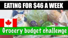 Grocery shop with me & How to eat for CHEAP IN CANADA ~ Emergency Extreme Grocery Budget Challenge