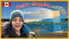 Weekly Grocery Shopping in Ontario Canada | Waterloo Shopping Experience | Student with Family Vlog