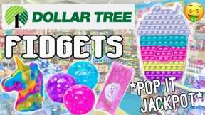 I BOUGHT EVERY NEW HIDDEN FIDGET AT DOLLAR TREE! 🤑 *EPIC POP ITS* No Budget Fidgets Shopping Spree!