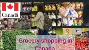Grocery shopping in Canada 🇨🇦/ Dollarama and FreshCo /best grocery stores in Canada for students
