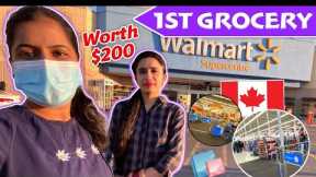 FIRST GROCERY FOR INTERNATIONAL STUDENT IN CANADA🇨🇦|| COMPARE TO INDIAN PRICES 🤑😮