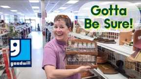 Gotta Be Sure! - Shop Along With Me - Goodwill Thrift Store