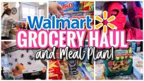 LARGE WALMART GROCERY HAUL | FAMILY OF 5, SOMETIMES 6+, GROCERY HAUL WITH MEAL PLAN