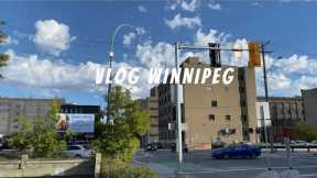 Lot of grocery shopping, IKEA, acupuncture | Vlog in Winnipeg • Canada