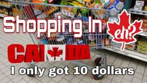 Grocery shopping in Canada is it cheap?