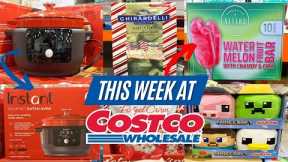 🔥NEW COSTCO DEALS THIS WEEK (10/17-10/24):🚨NEW ARRIVALS AT THE STORE!!!