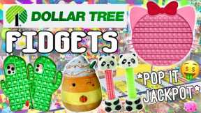 I BOUGHT EVERY FIDGET, POP IT, & SQUISHMALLOW AT DOLLAR TREE! *$1 Pop Its* No Budget Fidget Shopping