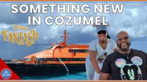 Disney Fantasy  Cozumel and Playa Del Carmen Ferry Ride Halloween on the High Seas