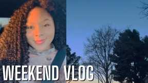 WEEKEND VLOG | COME SHOPPING WITH ME | Panera, Dollar Tree, 99 cent store @serinadollvlogs