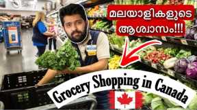 Grocery Shopping in Canada | Walmart | London, Ontario | Blissful Malayali 🇨🇦