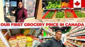 FIRST GROCERY SHOPPING IN CANADA 🇨🇦 / Grocery Prices in 2022 - Pakistani Indian Grocery Vlog