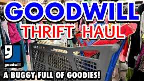 GOODWILL HOME DECOR THRIFT SHOPPING HAUL * A BUGGY FULL OF GOODIES! Thriftmas-Day 16