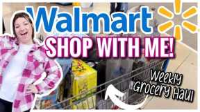 SHOP WITH ME AT WALMART | WEEKLY GROCERY SHOPPING | FAMILY OF 5