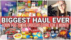 *NEW* Massive Grocery Haul / Holiday Grocery Shop With Me!