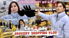 Canada grocery shopping vlog || Grocery expense in Canada for students || Grocery prices in 2023