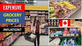 Grocery Prices in Canada 2023 🇨🇦 | Grocery Shopping in Toronto | Sangz Stories |Vlog