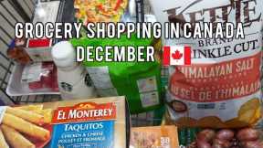 Grocery Shopping Trips in Canada 🛒Summary of December shopping