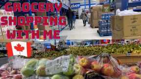 Come Grocery Shopping at 6 Difference Stores in Canada With Me #shoppingday