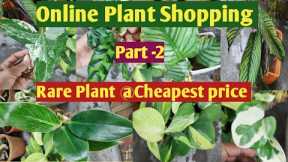 Online Indoor Plant Shopping || Unboxing Online Plants in Cheapest Price (Part-2)