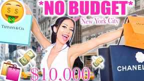 No Budget Shopping Spree: New York City!