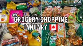 Grocery Shopping Trips in Canada 🛒Summary of January shopping