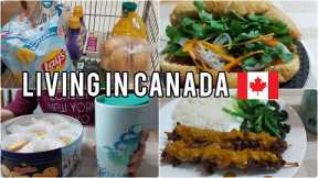 Daily life living in Canada| Grocery shopping| Canadian supermarket| Cooking satay beef, banhmi