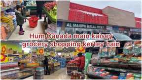 How we do grocery shopping in Canada | Hum Canada main kaisey grocery shopping kertey hain| Canada