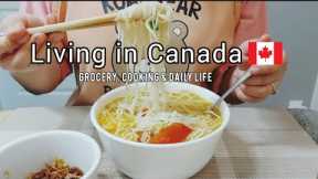 Daily life living in Canada | Grocery shopping | Cooking| ordinary days in my life