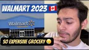 GROCERY SHOPPING 2023 | INTERNATIONAL STUDENT GROCERY SHOPPING IN 🇨🇦 CANADA | OGAAN SHARMA