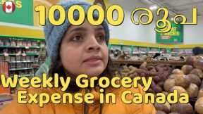 Weekly Grocery Shopping in Ontario Canada | Kitchener Shopping Experience | Canada Malayalam Vlog