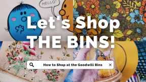 Thrift with Me! Goodwill Bins Outlet Shopping for Vintage Finds and Home Decor