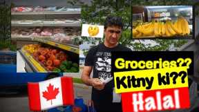 Grocery shopping in Canada|| weekly Expenses| Halal food.🇨🇦🇨🇦