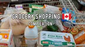 Grocery Shopping Compilation in Canada 🛒