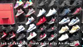 CROSSIRON SNEAKER WINDOW SHOPPING