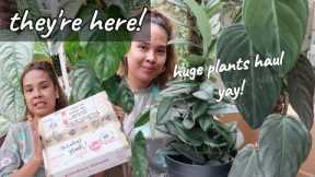 PLANT SHOPPING ONLINE AND PLANTS HAUL!