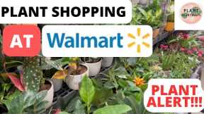 PLANT SHOPPING TOUR AT WALMART MARCH 2023 /PLANT SPECIAL FINDS/CLEARANCE RESCUE