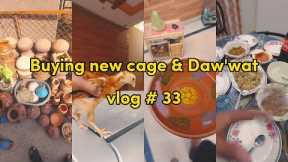 Join Our Family Gathering and Chicks' New Home Tour: Shopping for a Cage and Fun Dawat #familyvlogs