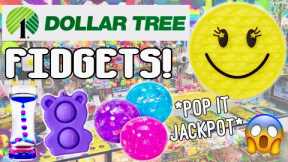 Fidget Shopping at Dollar Tree!🤑 *LEGENDARY POP ITS & FIDGETS* No Budget Fidgets Shopping Spree!