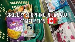 Grocery haul vlog in Canada 🛒Summary of realistic grocery shopping, grocery with me.