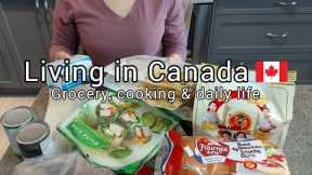 Daily life in Canada | Grocery shopping | A lot of cooking | Rice cake | Spring rolls | Burger