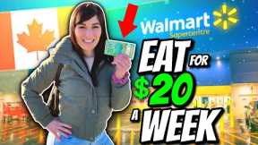 HOW TO EAT FOR $20 A WEEK IN CANADA | Emergency Extreme Budget Grocery Haul 2023