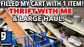 This one thing FILLED MY CART! THRIFTING AT GOODWILL + I’LL SHARE MY LARGE THRIFT HAUL