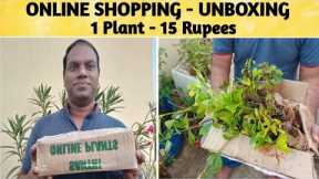 ONLINE SHOPPING | UNBOXING | 15 RS PLANTS