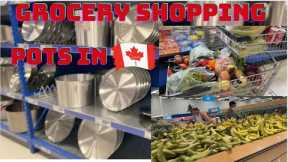 Canada Vlog: Grocery Shopping + Cost of Big Pots in Canada + Reviews || Come to Canada with Your Big