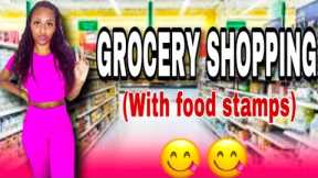 GROCERY SHOPPING VLOG| FOOD STAMPS HAUL | USING MY FOODSTAMPS FOR GROCERIES