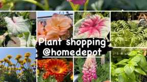 Plant shopping @ Home Depot