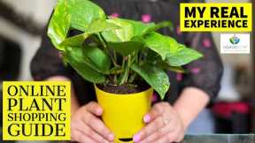 HOW TO BUY PLANTS ONLINE | MY ONLINE PLANT SHOPPING EXPERIENCE | SELF WATERING POTS