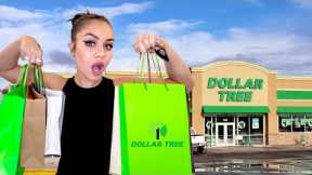 Dollar Tree Shopping SPREE + haul