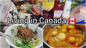 Daily life living in Canada| Grocery shopping | Vietnamese braised pork and eggs | Beef salad
